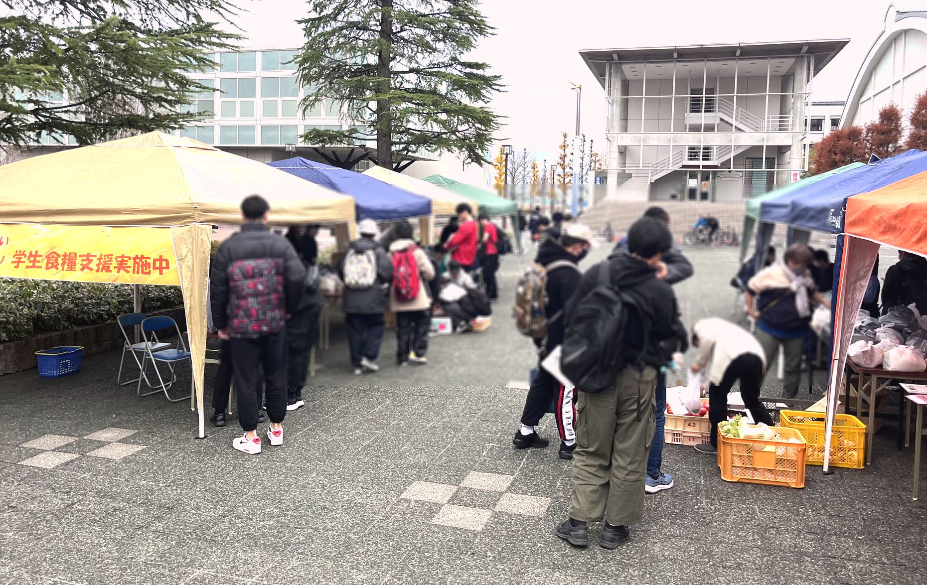 学生向け食料支援に参加してきました!