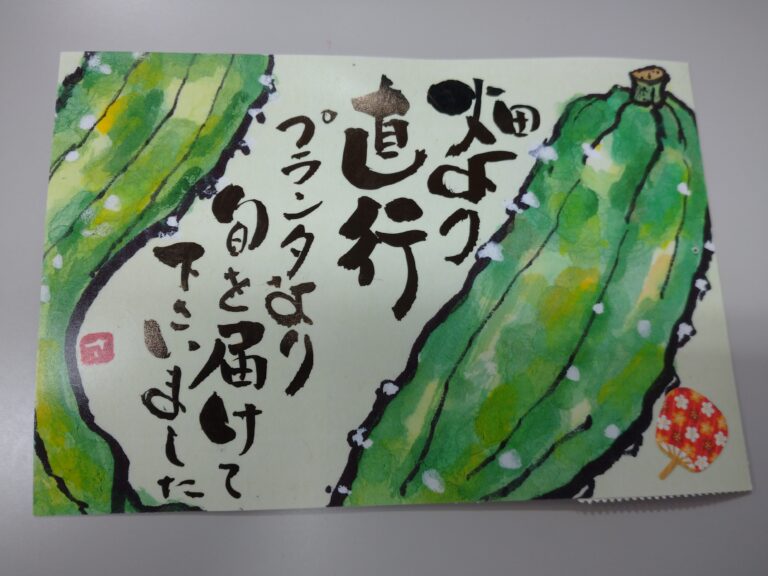 グリーンカーテン・・・お手紙届きました!!